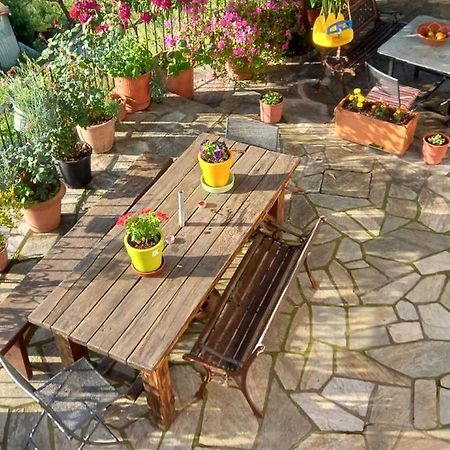 Orizontas Pilio Villa 키소스 외부 사진