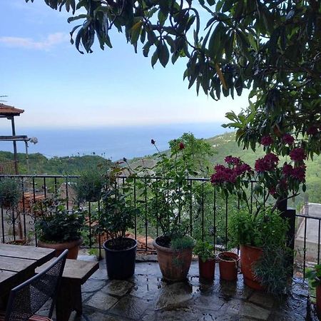 Orizontas Pilio Villa 키소스 외부 사진