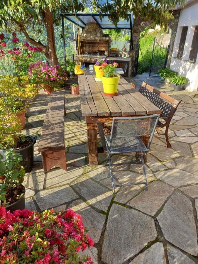 Orizontas Pilio Villa 키소스 외부 사진
