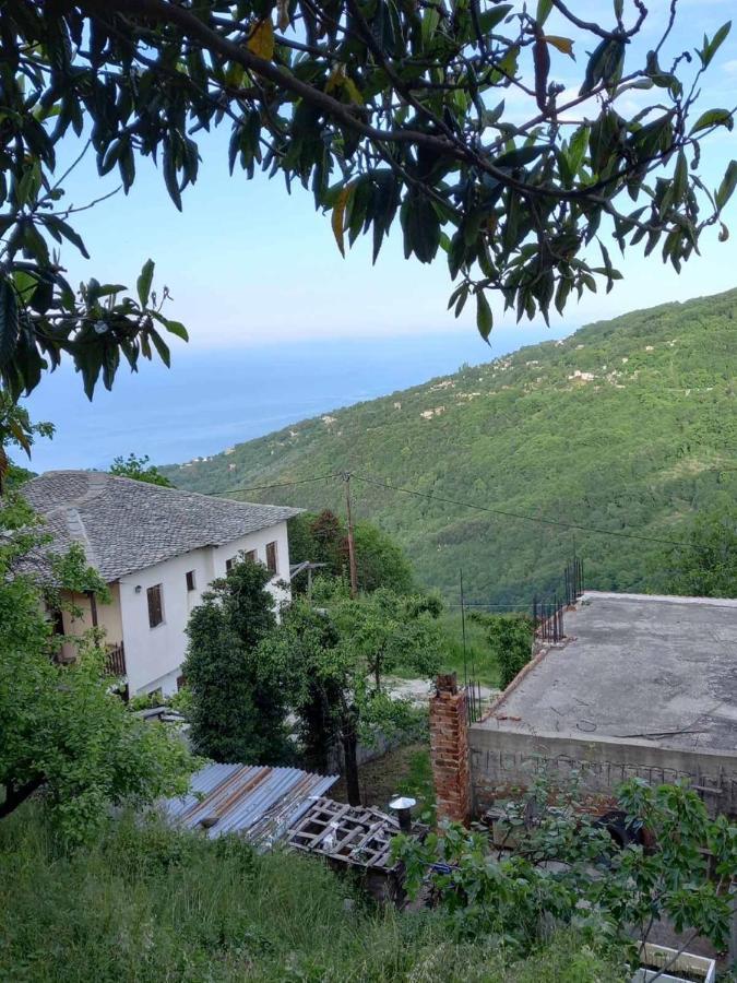 Orizontas Pilio Villa 키소스 외부 사진