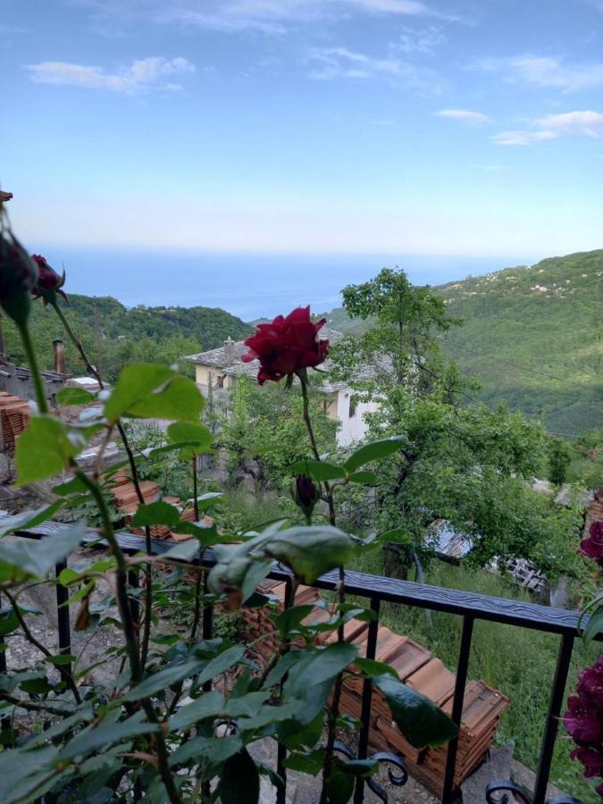Orizontas Pilio Villa 키소스 외부 사진