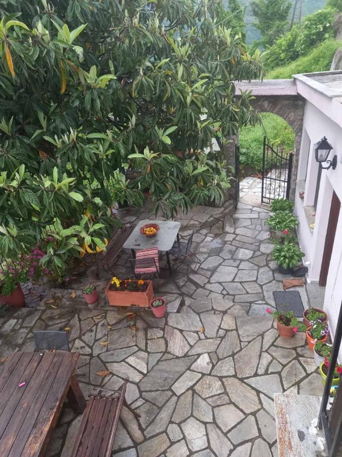 Orizontas Pilio Villa 키소스 외부 사진