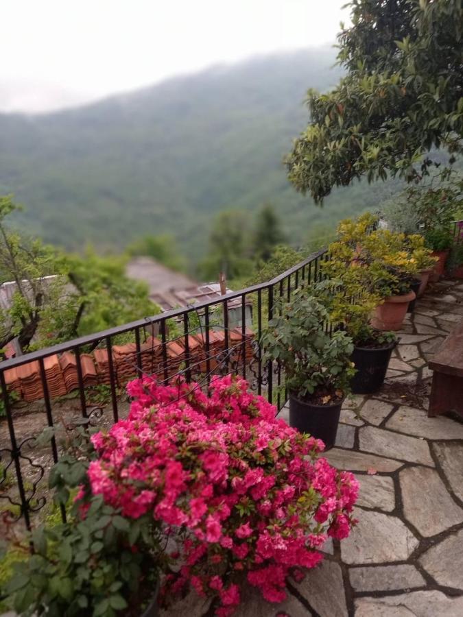 Orizontas Pilio Villa 키소스 외부 사진