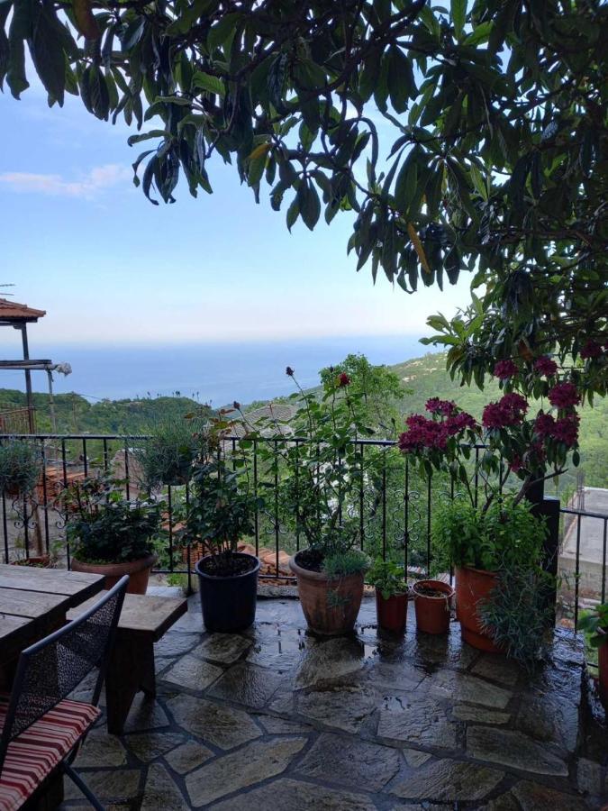 Orizontas Pilio Villa 키소스 외부 사진