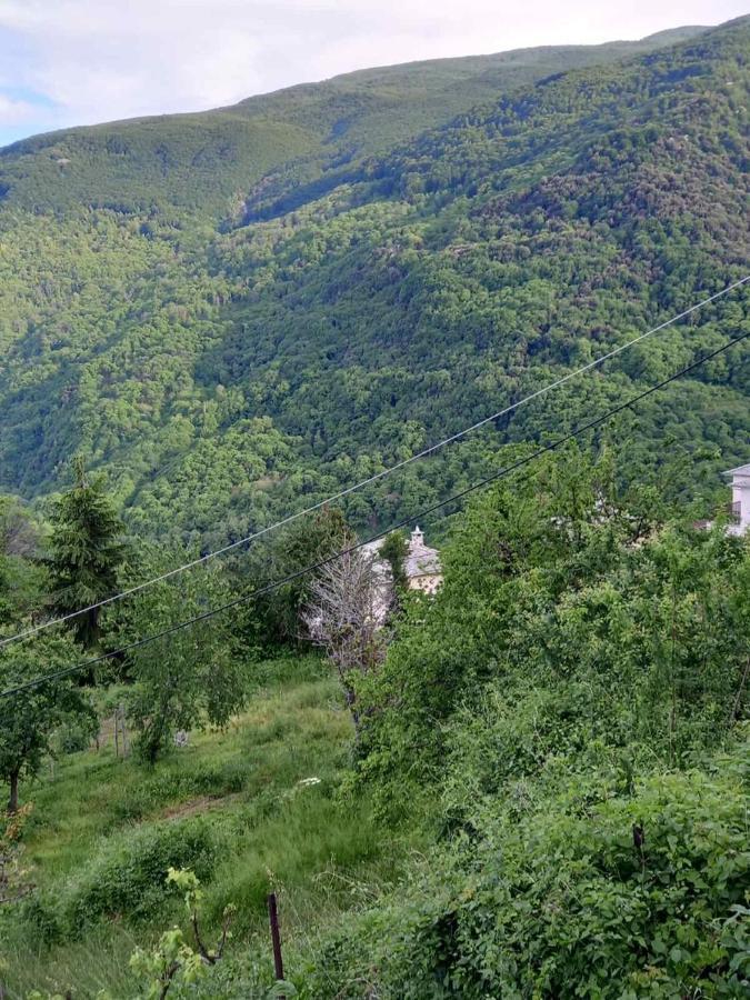 Orizontas Pilio Villa 키소스 외부 사진