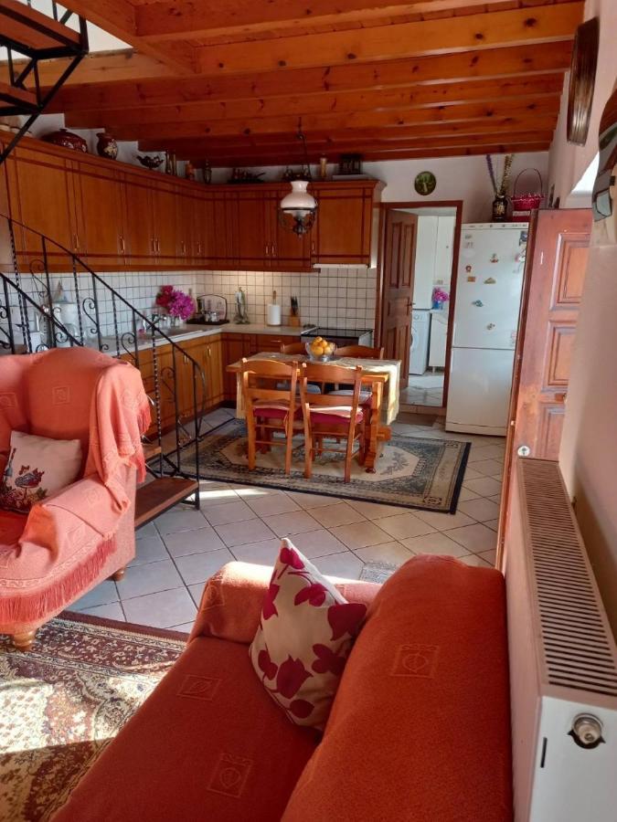 Orizontas Pilio Villa 키소스 외부 사진
