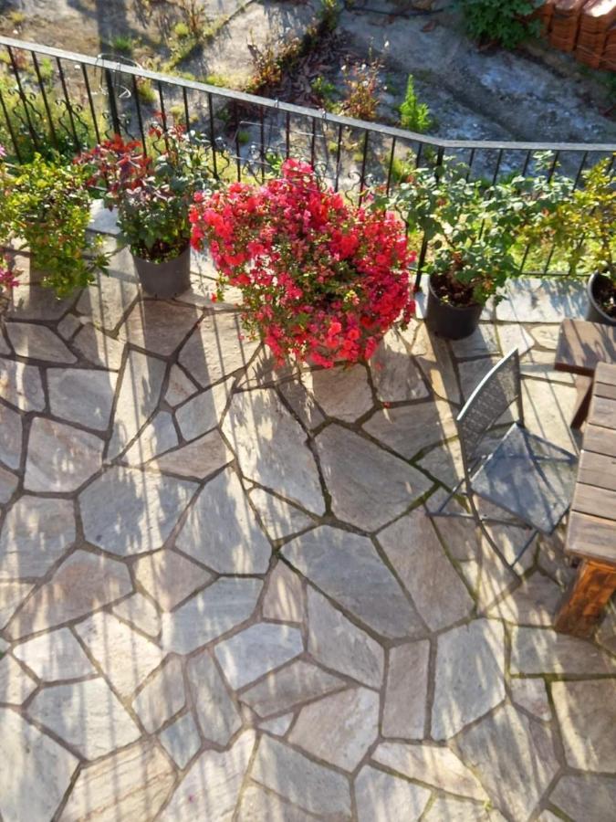 Orizontas Pilio Villa 키소스 외부 사진