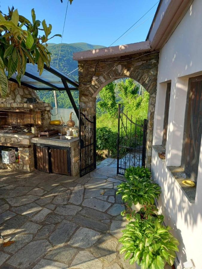 Orizontas Pilio Villa 키소스 외부 사진