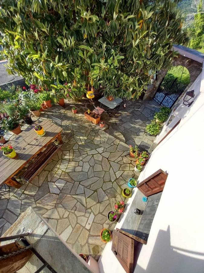 Orizontas Pilio Villa 키소스 외부 사진