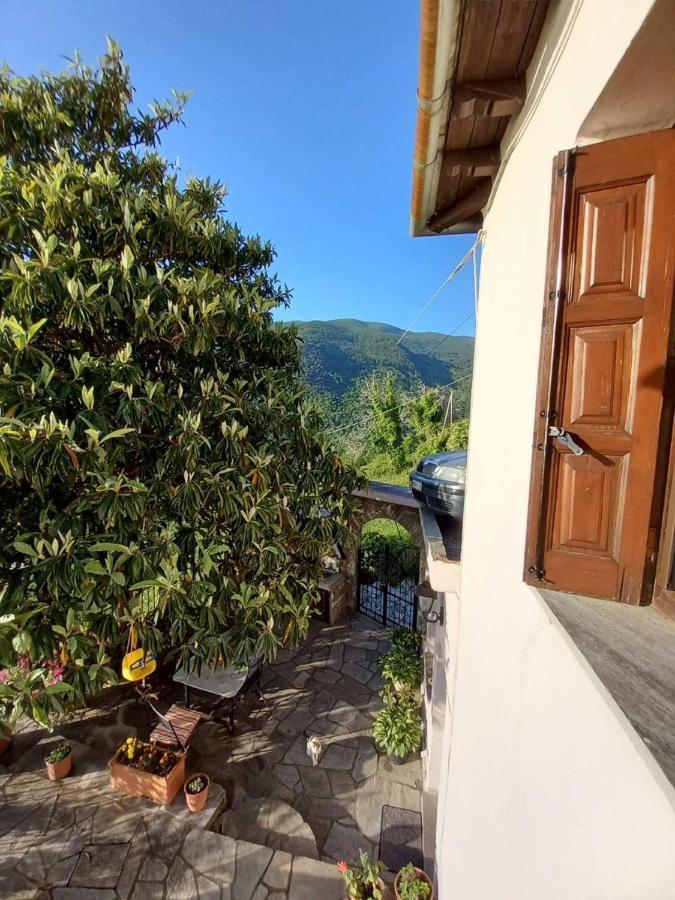 Orizontas Pilio Villa 키소스 외부 사진